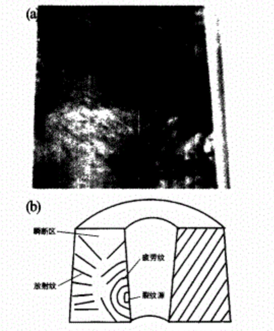 info-539-651 info-539-651